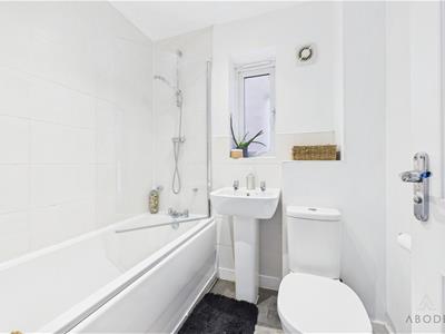 Picture 12